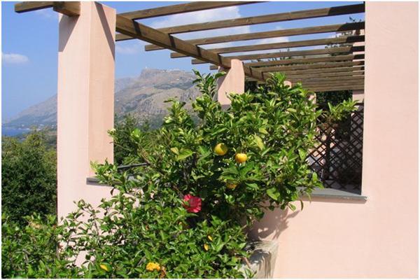 Hotel Martino Maratea Zewnętrze zdjęcie